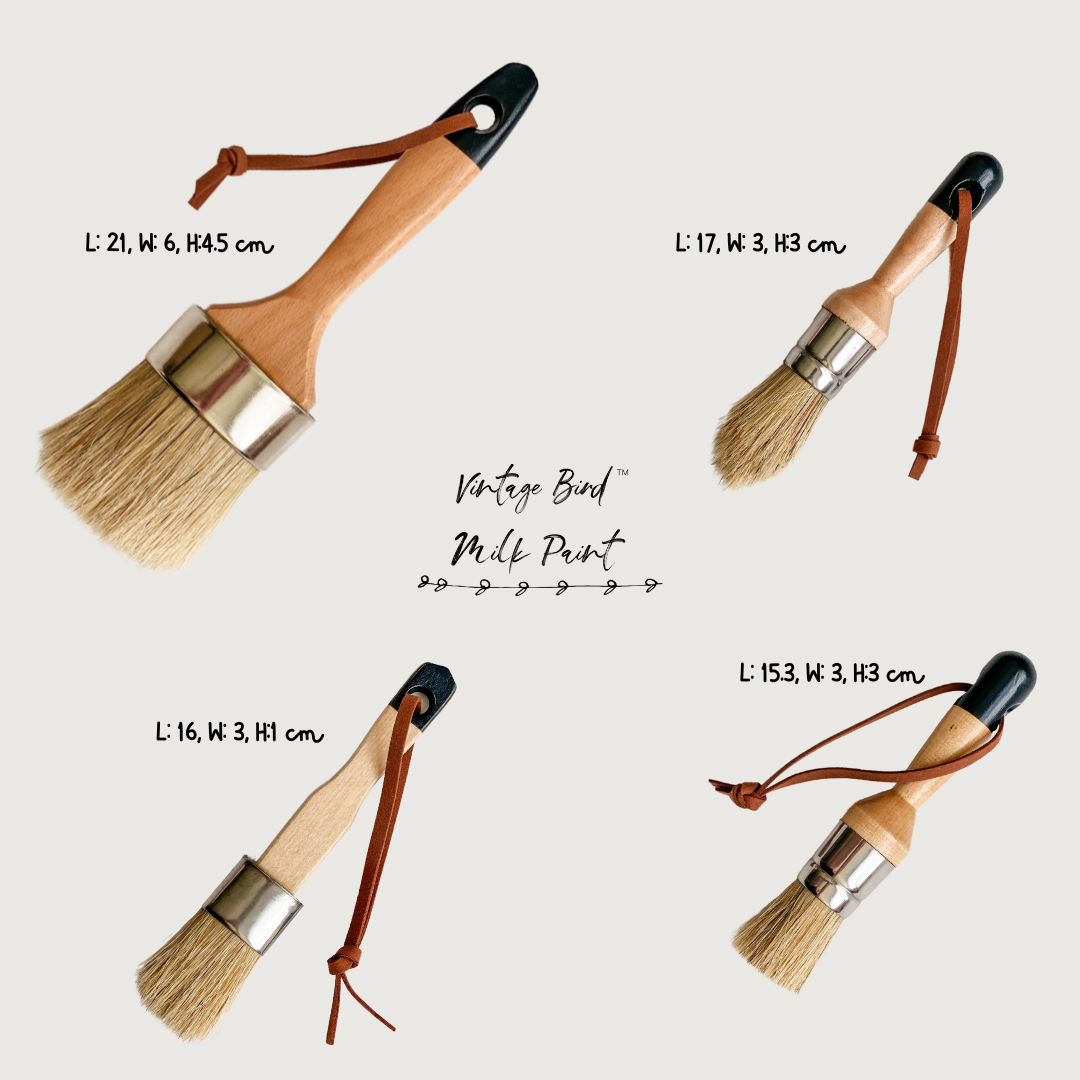 Small-flat-natural-bristle-brush-for-using-with-milk-paint-or-chalk-paint.