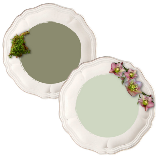 Spring Limited Edition Colours - Bird on the Hill Designs