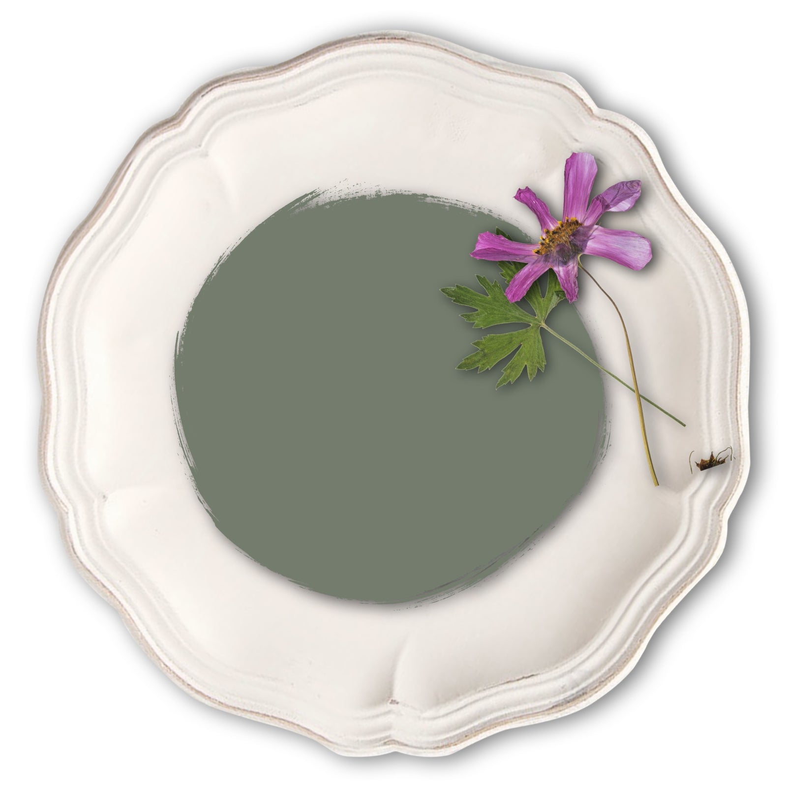 Comfrey-Vintage-Bird-Furniture-Paint