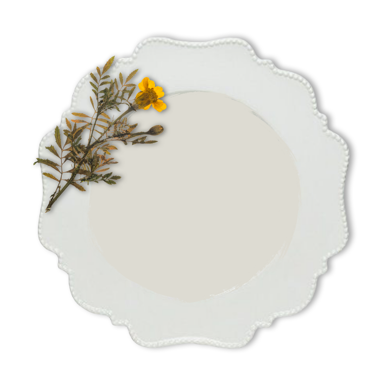 Raw-Cotton-coloured-Vintage-Bird-Milk-Paint