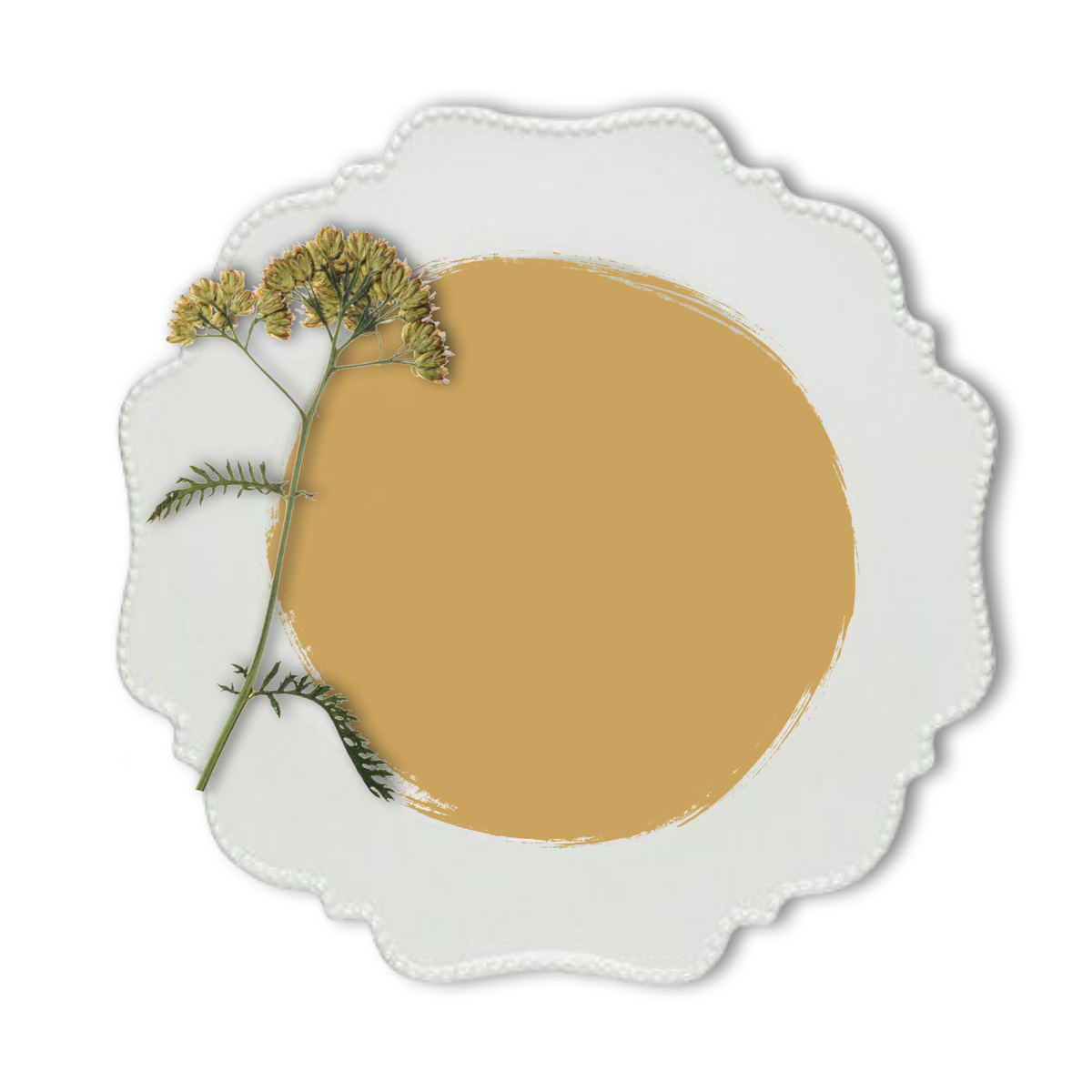 Vintage-Bird-Milk-Paint-Wyalong-Wattle-is-a-deep-mustard-with-ochre-undertones