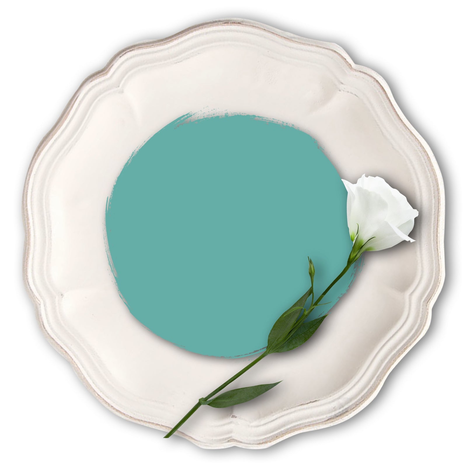 Maldivian-Vintage-Bird-Furniutre-Paint