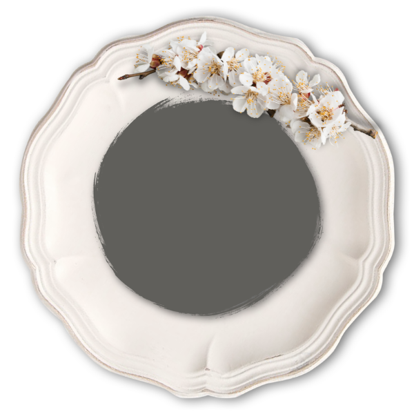 Slate-Grey-Vintage-Bird-Mineral-Paint