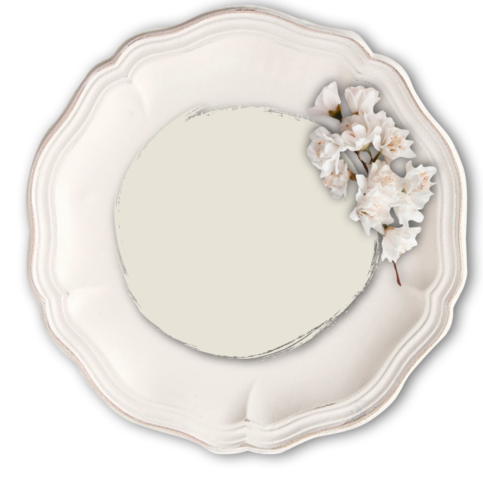 Sea-Shell-Vintage-Bird-Furniture-Paint