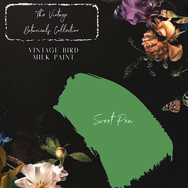 Vintage Botanicals Milk Paint Collection - Sweet Pea
