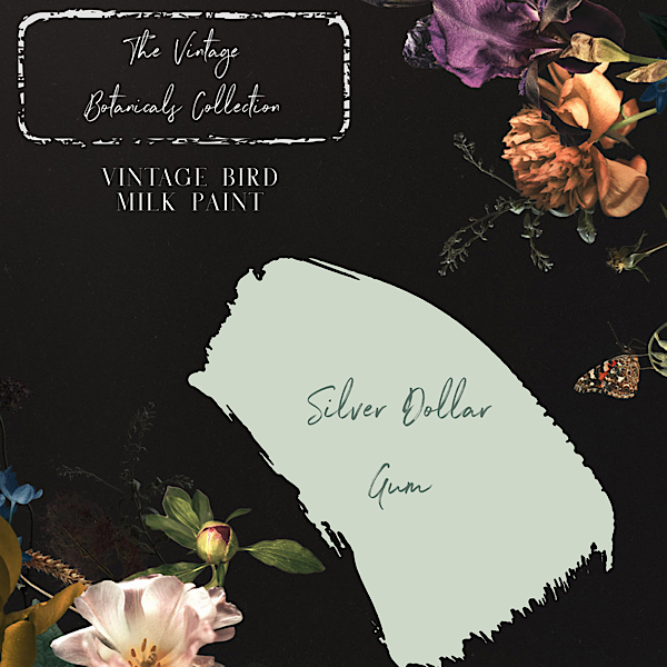 Vintage Botanicals Milk Paint Collection - Silver Dollar Gum