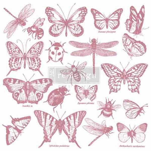 Re-Design Clearly Aligned Decor Stamps -  Monarch Collection